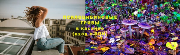 СК Армянск