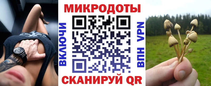 Псилоцибиновые грибы Cubensis  как найти закладки  Белогорск 